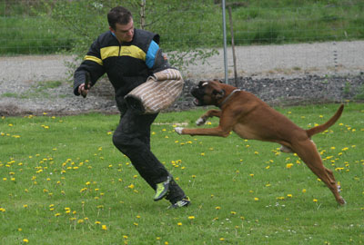 IMG_8906-Helfer-1
