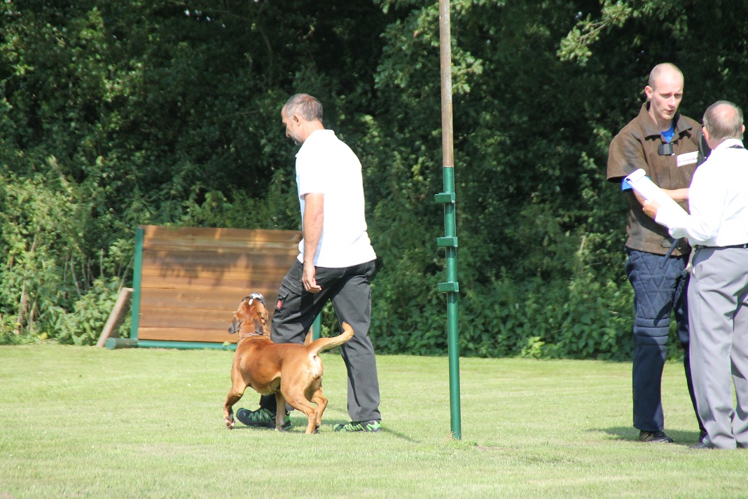 LAP 02-09-2012 104