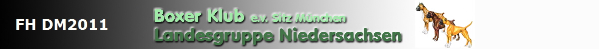 FH DM2011